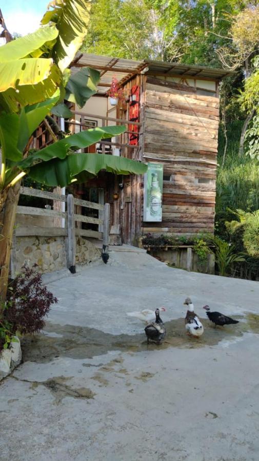 Hotel Selva Verde Salento Zewnętrze zdjęcie