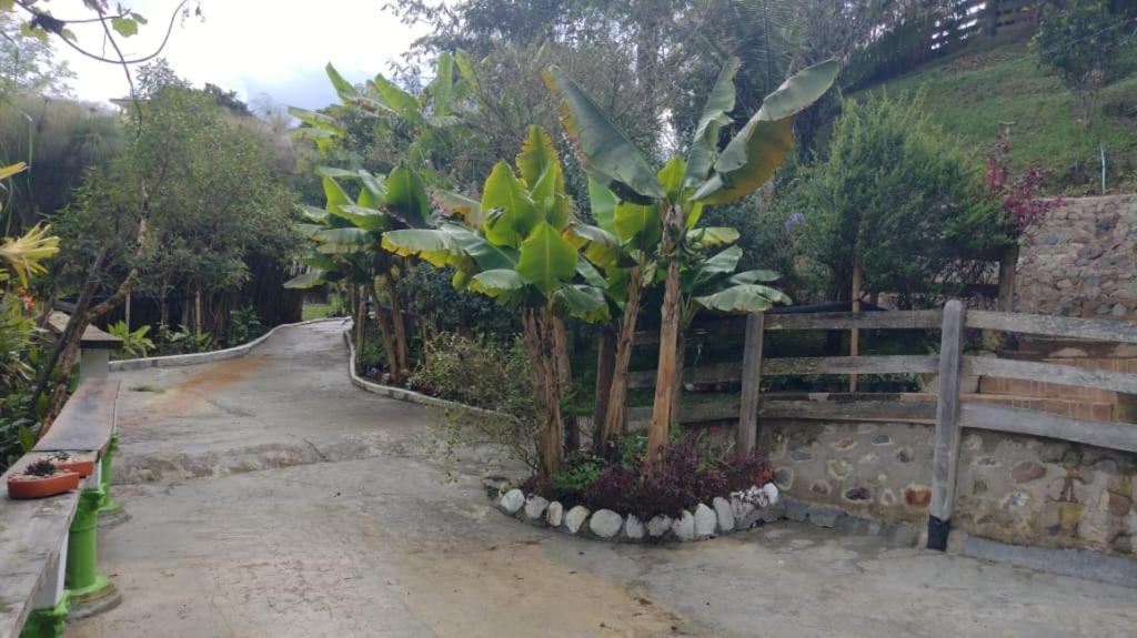 Hotel Selva Verde Salento Zewnętrze zdjęcie