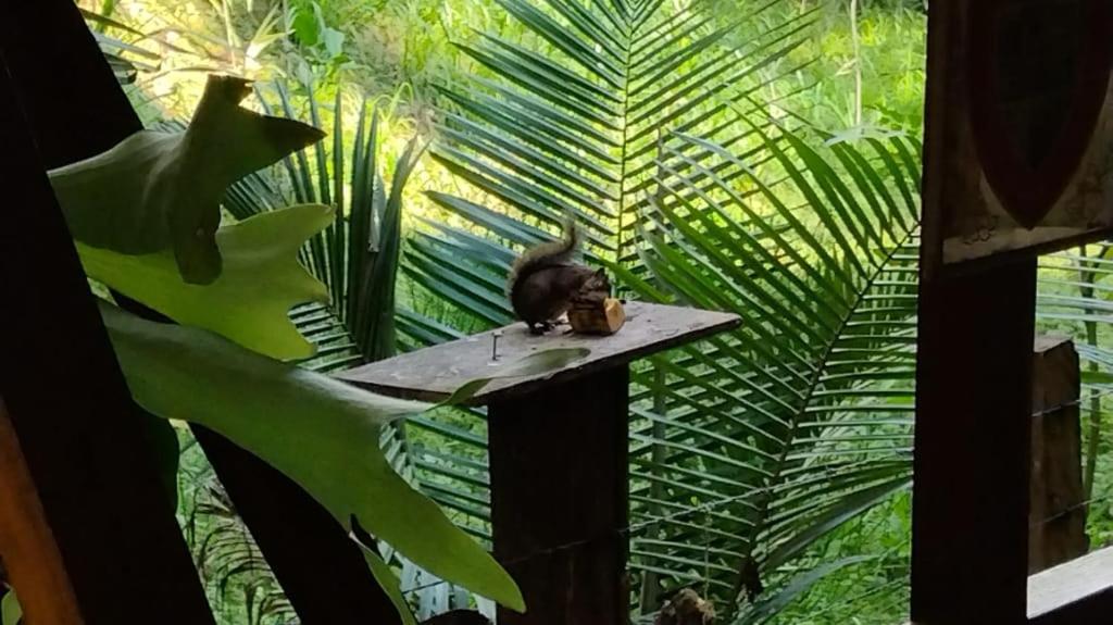 Hotel Selva Verde Salento Zewnętrze zdjęcie