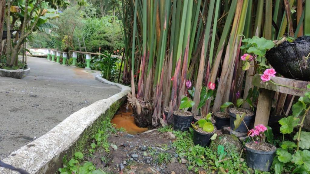 Hotel Selva Verde Salento Zewnętrze zdjęcie